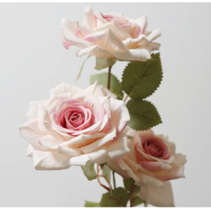 o@KN@ԁ@1{i3ցj@tFCNO[@MtgEv[g@J[FsNzCg