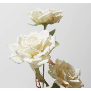 o@KN@ԁ@1{i3ցj@tFCNO[@MtgEv[g@J[FN[zCg