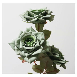 o@KN@ԁ@1{i3ցj@tFCNO[@MtgEv[g@J[FX[NO[