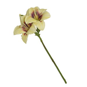 @@ԁ@1{i2ցj@tFCNO[@MtgEv[g@J[FCG[p[v