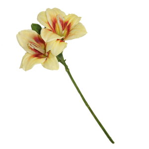 @@ԁ@1{i2ցj@tFCNO[@MtgEv[g@J[FCG[bh