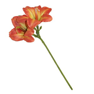 @@ԁ@1{i2ցj@tFCNO[@MtgEv[g@J[FIW