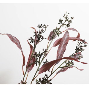 [J@ԁ@1{@tFCNO[@MtgEv[g@J[Fbh