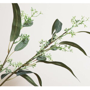 [J@ԁ@1{@tFCNO[@MtgEv[g@J[FzCg