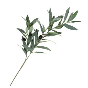 I[u@ԁ@1{@tFCNO[@MtgEv[g