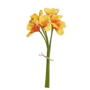 `[bv@ԁ@CG[IW@5{Zbg@t@CeA@fBXvC