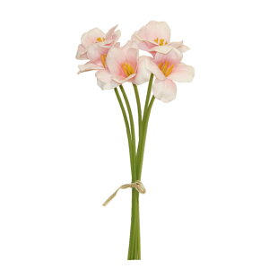 `[bv@ԁ@sN@5{Zbg@t@CeA@fBXvC