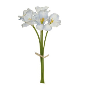 `[bv@ԁ@u[@5{Zbg@t@CeA@fBXvC