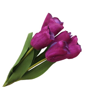 `[bv@ԁ@p[v@5{Zbg@t@CeA@fBXvC