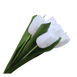 `[bv@ԁ@zCg@5{Zbg@t@CeA@fBXvC