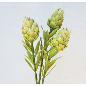 tFCNO[@A[eB`[N@LOveA@3{Zbg@ԁ@t@CeA@fBXvC