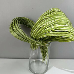 t[AWgpC[@ԁ@[vER@tFCNO[@ԍށ@t@10{Zbg