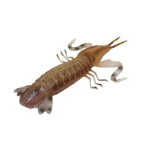 VR@u@͌^@HiTv@Hi͌^@X܃fBXvC@J[FK