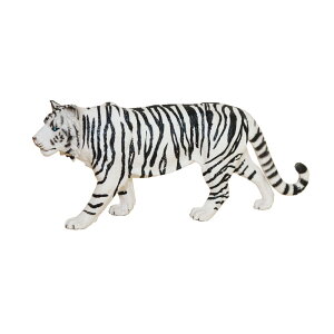 zCg^CK[@g@Ձ@͌^@tBMA fazl15