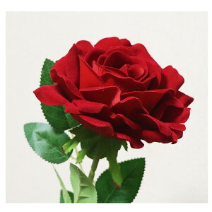 傫ȃȏԁ@KN@o@ԁ@1{E1ց@MtgEv[g@t@Be