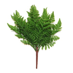 tFCNO[@V_i~jj@ԁ@t@CeA@fBXvC@J[FO[