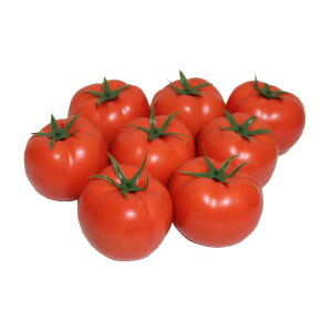 GuCra@ON@g}g@͌^@Ԃ̃TCY@8pbN@HiTv@J[Fbh