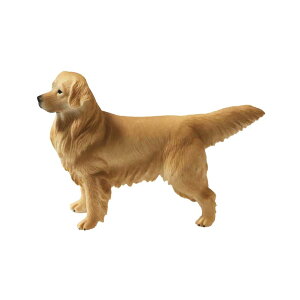 tBMA@S[fEgo[@͌^@tBMA@͌^