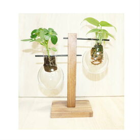 楽天市場 ハイドロカルチャー 容器 植木鉢 植木鉢 プランター ガーデニング 農業 花 ガーデン Diyの通販