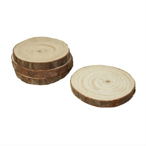 Ebh ؕЃR[X^[ ی`  4Zbg fBXvC  fR[V hCt[ f