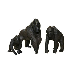 S@͌^ 3̃Zbg@tBMA@faz-g3