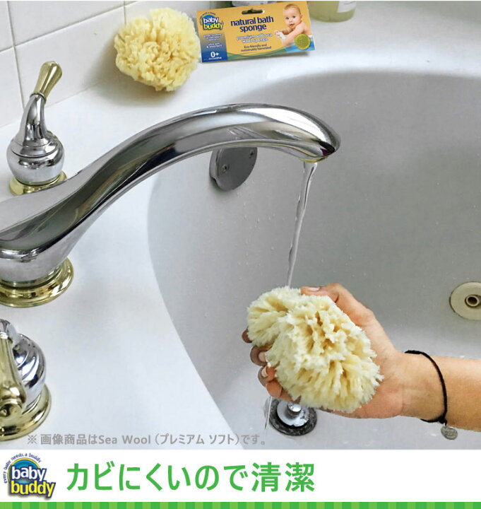 楽天市場 Baby Buddy ベビーバディ ナチュラル バス スポンジ Sea Wool プレミアムソフト 天然海綿スポンジ 子供 バススポンジ お風呂 お風呂グッズ おしゃれ ボディスポンジ アレルギー 敏感肌 ボディースポンジ 体洗い ベビー用品 あす楽 おふろ バス用品 バス
