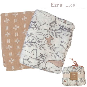 _7700~˔z^ 2Zbg Xh2Zbg Xhbv2Zbg K[[Pbg XuPbg N[xr[ Crane Baby XXh uPbg Hp tp 