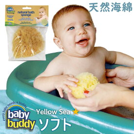 ボディスポンジ 子供 海綿 お風呂 Baby Buddy ベビーバディ ナチュラル バス スポンジ Yellow Sea（ソフト） 【正規品】 天然海綿 バススポンジ お風呂グッズ おしゃれ アレルギー 敏感肌 体洗い ベビー用品