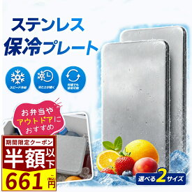 本日終了【P5倍&クーポンで661~円/点】 保冷剤 ステンレス保冷剤 ステンレス製 保冷剤 長時間冷却 驚異の保冷力 アイスパック 冷蔵冷凍対応 熱中症対策 アウトドア キャンプ 防災グッズ 長持ち 繰り返し使える 保冷用品 お弁当 釣り キャンプ BBQ 夏の必需品 GUDINA