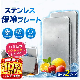 【クーポンで981~円/点】 保冷剤 ステンレス保冷剤 ステンレス製 保冷剤 長時間冷却 驚異の保冷力 アイスパック 冷蔵冷凍対応 熱中症対策 アウトドア キャンプ 防災グッズ 長持ち 繰り返し使える 保冷用品 お弁当 釣り キャンプ BBQ 夏の必需品 GUDINA