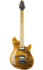 Peavey�i�s�[���B�[�jHP2 Tiger Eye TR