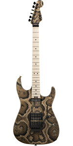 Charvel USA(シャーベル)Warren Demartini Signature Snake
