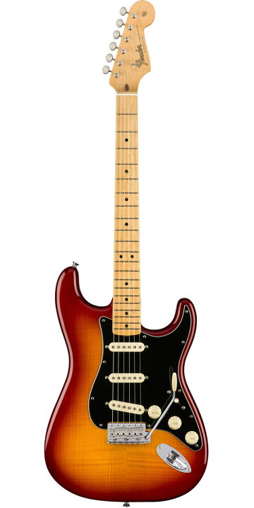 楽天市場】Fender USA（フェンダー）2019 Limited Edition Rarities 