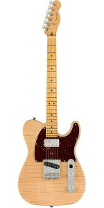 Fender USAitF_[j2019 Limited Edition Rarities Flame Maple Top Chambered Telecaster Natural
