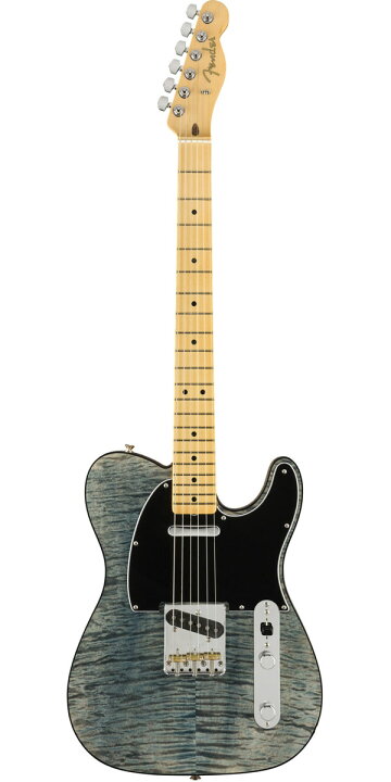 楽天市場】Fender USA（フェンダー）2019 Limited Edition Rarities 