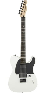 Fender Mexico(フェンダー)Jim Root Telecaster Flat White
