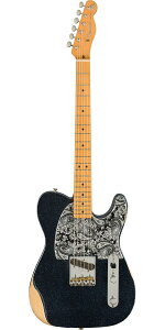 Fender Mexico�i�t�F���_�[�jBrad Paisley Esquire Black Sparkle