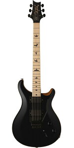 PRSiPaul Reed SmithjDustie Waring Signature DW CE 24 gFloydh Black Top