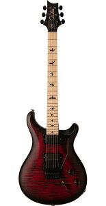 PRSiPaul Reed SmithjDustie Waring Signature DW CE 24 gFloydh Waring Burst