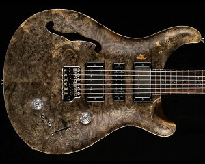 PRSiPaul Reed SmithjPrivate Stock Special Semi-Hollow Buckeye Burl Natural 2024