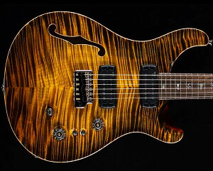 PRSiPaul Reed SmithjPrivate Stock Custom 24-08 Semi-Hollow Tiger Eye Glow 2025