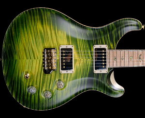 PRSiPaul Reed SmithjPrivate Stock DGT Rainforest Glow 2024