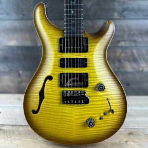PRSiPaul Reed SmithjSpecial Semi-Hollow Wood Library 10 Top Torrefied Maple Neck McCarty Sunburst 2024