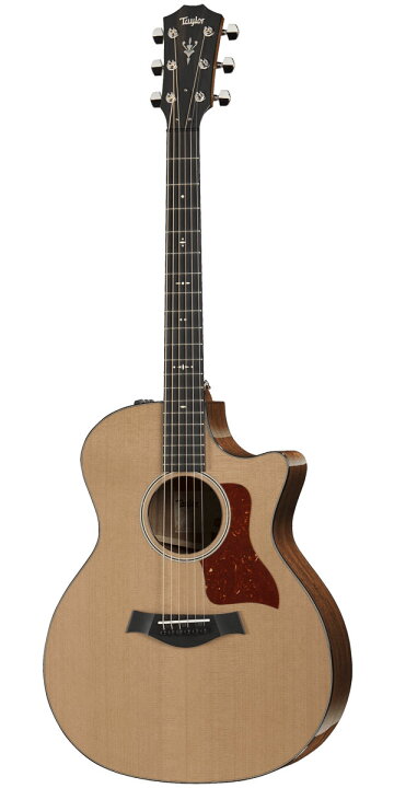 楽天市場】Taylor（テイラー）514ce V-Class : STARROW ONLINE STORE