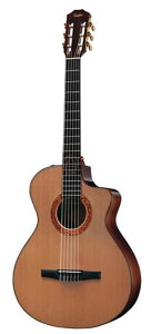 TaylorieC[jJMSM / Jason Mraz Signature Model