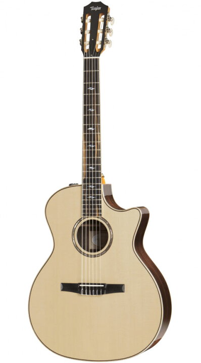 楽天市場】Taylor（テイラー）814ce-N ES2 : STARROW ONLINE STORE