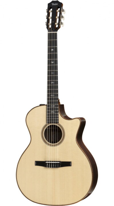楽天市場】Taylor（テイラー）714ce-N : STARROW ONLINE STORE