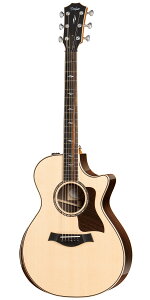 TaylorieC[j812ce DLX V-Class