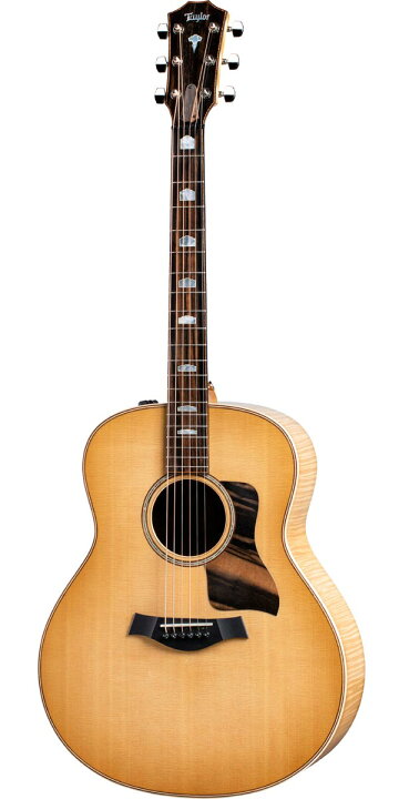 楽天市場】Taylor（テイラー）618e V-Class : STARROW ONLINE STORE