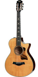 TaylorieC[j612ce 12-Fret V-Class